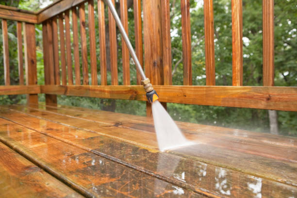 Best Pressure Washing Company Near Me  in Tchula, MS